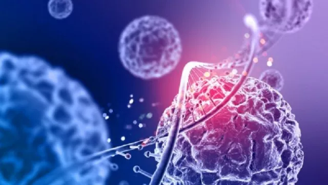 Benarkah Mutasi Membuat Virus COVID-19 Lebih Mematikan? - GenPI.co Benarkah Mutasi Membuat Virus COVID-19 Lebih Mematikan? - GenPI.co
