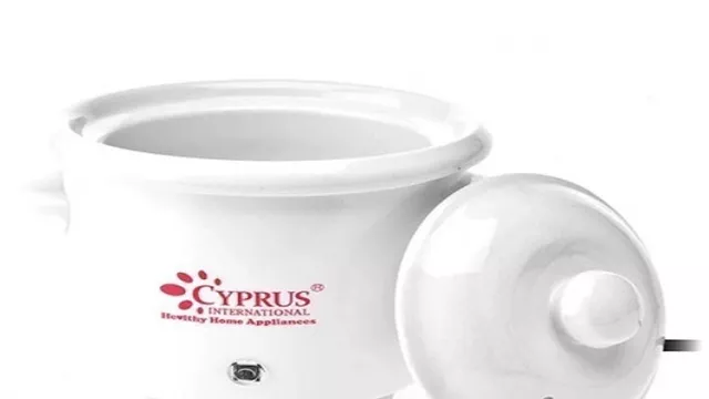 Cyprus Slow Cooker, Daya Listrik Rendah dan Harga Terjangkau - GenPI.co