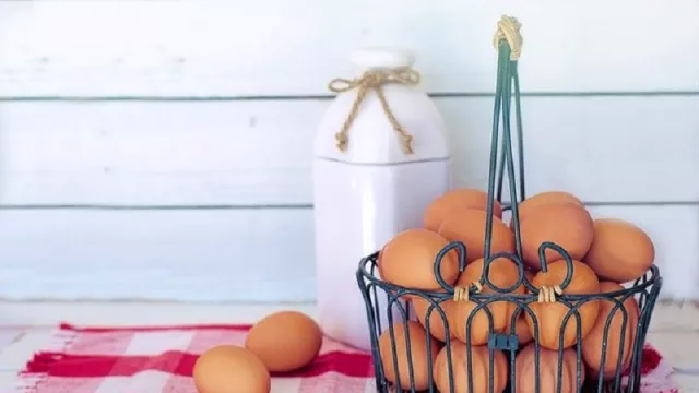 Khasiat Putih Telur untuk Perawatan Kulit, Dijamin Bakal Happy - GenPI.co