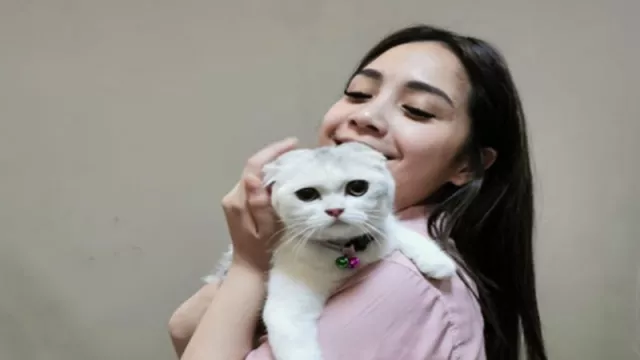 Deretan Kucing Peliharaan Nagita Slavina, Harga Bikin Elus Dada - GenPI.co