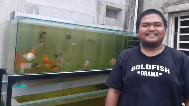Kisah Sukses Embot Raih Hoki dari Budi Daya Ikan Mas Koki  - GenPI.co