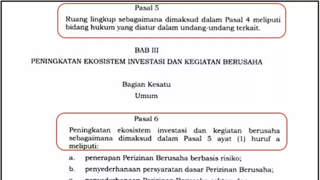 Ada yang Salah di UU Cipta Kerja, Pak Jokowi Baca Nggak Ya? - GenPI.co