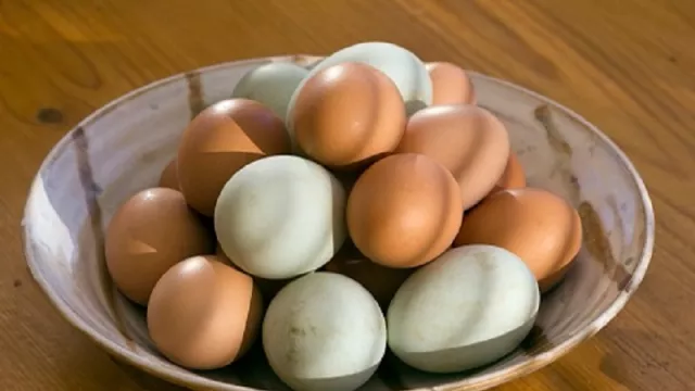 Istimewa, 6 Kelebihan Telur Bebek yang Nggak Diduga - GenPI.co