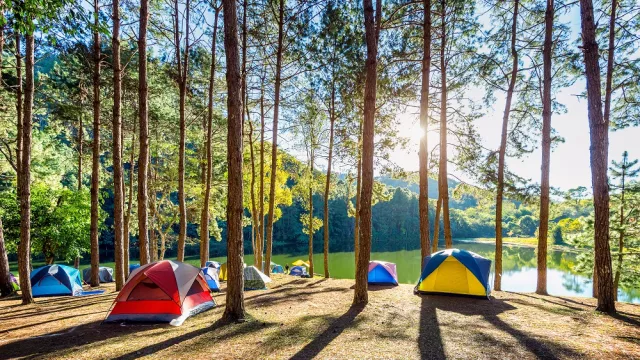 Tempat Camping Seru Sekitar Jakarta, Cocok Untuk Liburan Singkat - GenPI.co