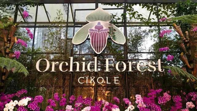 Orchid Forest Cikole Bagikan Bibit Anggrek Gratis - GenPI.co