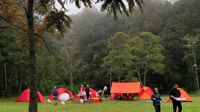 Pengin Camping Privat di Jungle Milk? Hubungi Saja Kontak ini - GenPI.co