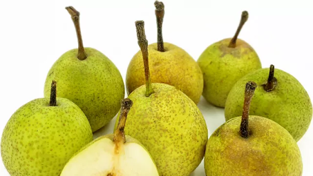 Rutin Konsumsi Buah Pir Ampuh Turunkan Diabetes hingga Kanker - GenPI.co Rutin Konsumsi Buah Pir Ampuh Turunkan Diabetes hingga Kanker - GenPI.co