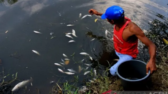 Awas, Laut Indonesia Jadi Tempat Pembuangan Limbah Nuklir Jepang - GenPI.co Awas, Laut Indonesia Jadi Tempat Pembuangan Limbah Nuklir Jepang - GenPI.co