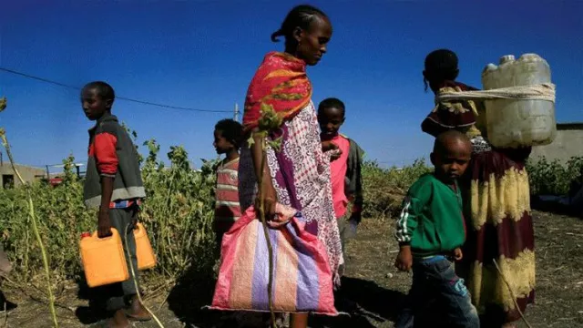 PBB Warning: Ancaman Serius di Ethiopia, Banyak Orang Kelaparan - GenPI.co