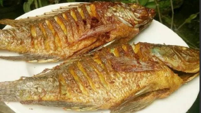 Gencarkan Konsumsi Ikan, KKP Latih Masyarakat di 24 Provinsi - GenPI.co