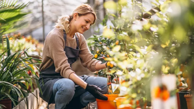 4 Manfaat Berkebun di Rumah, Nomor 2 & 4 Dijamin Tokcer! - GenPI.co