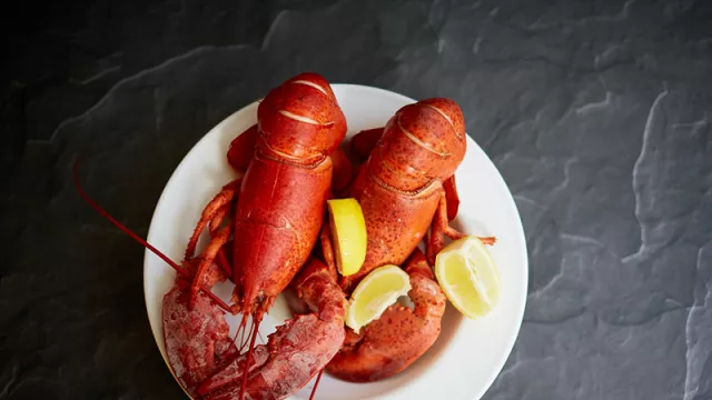 Manfaat Lobster Dahsyat Banget, Pantas Harganya Selangit! - GenPI.co