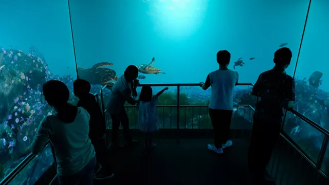 Mermaid Show Ikut Meriahkan HUT ke-75 RI di Jakarta Aquarium - GenPI.co