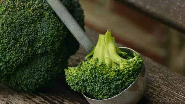 Rutin Makan Brokoli Ternyata Khasiatnya Sangat Luar Biasa - GenPI.co