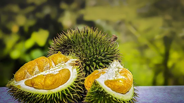 7 Khasiat Ajaib Makan Durian Bisa Bikin Melongo - GenPI.co