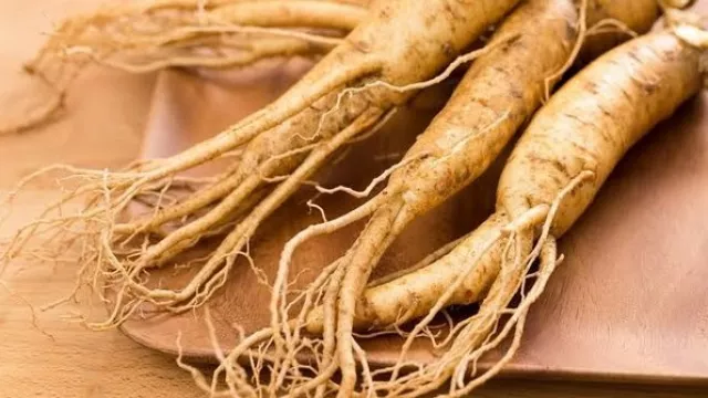 Rutin Mengonsumsi Ginseng Khasiatnya Sangat Ajaib, Bikin Melongo - GenPI.co