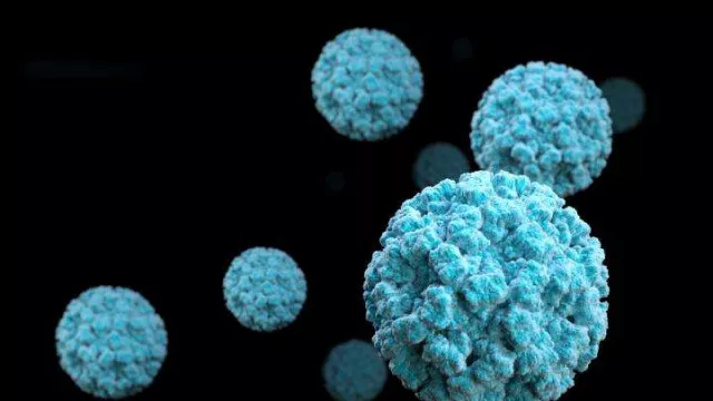 China Jadi Gudang Virus, Setelah Corona Muncul Norovirus - GenPI.co