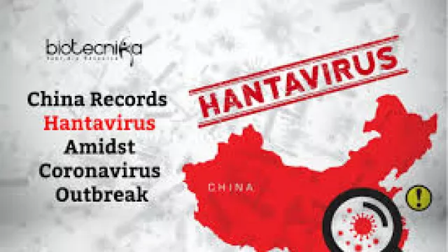 Setelah Corona, China Digegerkan dengan Hantavirus - GenPI.co