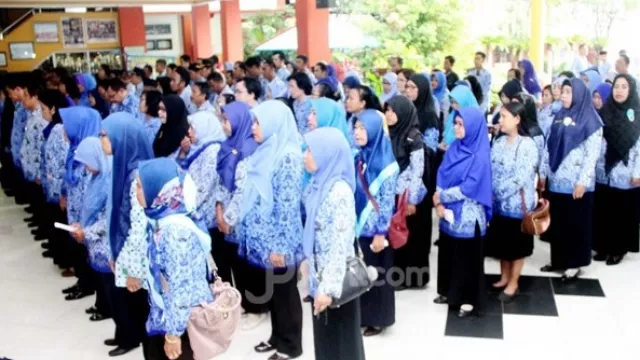 Ternyata Ini yang Menghambat Honorer K2 Lulus PPPK... - GenPI.co