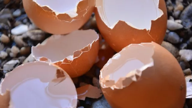 Pasti Diremehkan, Padahal Khasiat Kulit Telur Bikin Melongo - GenPI.co