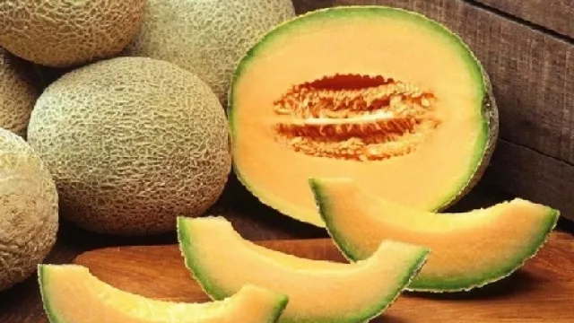 Rutin Makan Buah Melon Manfaatnya Sangat Mencengangkan!  - GenPI.co