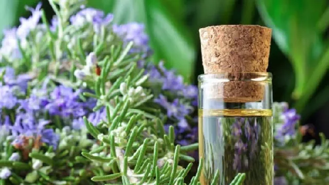 Ingin Kulit Kinclong, Coba Ramuan Minyak Lavender Ini... - GenPI.co