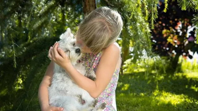 Studi Riset: Pelihara Anjing Bisa Bikin Panjang Umur - GenPI.co