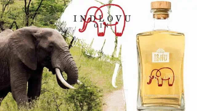 Ekstrem Banget, Bahan Baku Minuman Ini Kotoran Gajah - GenPI.co