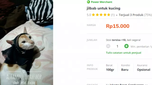 Eh… Ada Toko Online Jilbab untuk Kucing, Gemesin Banget - GenPI.co