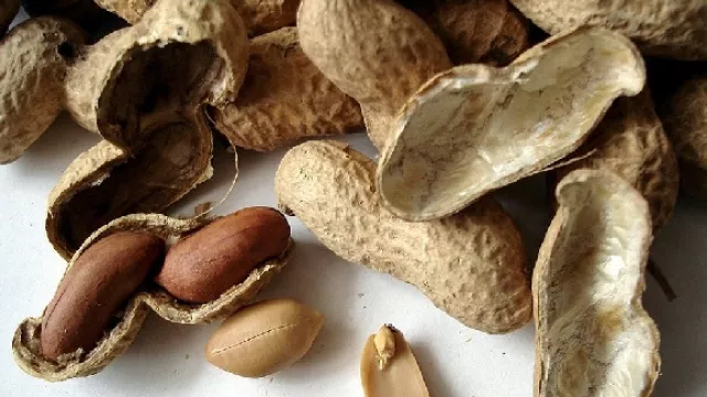 Khasiat Rutin Makan Kacang Tanah Bikin Penyakit Kronis Ambrol - GenPI.co