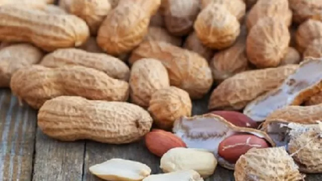Ajaib! Rutin Makan Kacang Tanah Ternyata Khasiatnya Bikin Melongo - GenPI.co