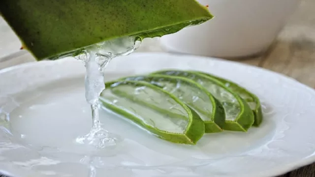 Lidah Buaya Obat Herbal Ampuh Hilangkan Jerawat - GenPI.co Lidah Buaya Obat Herbal Ampuh Hilangkan Jerawat - GenPI.co