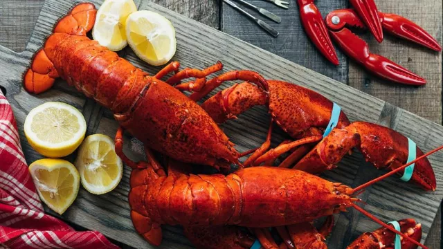 Kamu Wajib Tahu Loh, Ini 4 Fakta Menarik Lobster - GenPI.co