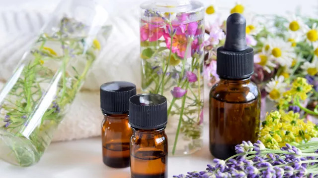 Atasi Insomnia hingga Bau Mulut, Ini 6 Manfaat Minyak Kutus-Kutus - GenPI.co Atasi Insomnia hingga Bau Mulut, Ini 6 Manfaat Minyak Kutus-Kutus - GenPI.co