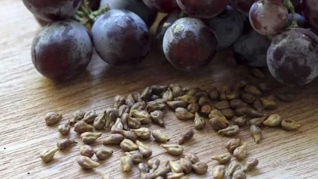 Dahsyat! Biji Anggur Berkhasiat Tangkal Kanker hingga Hipertensi - GenPI.co