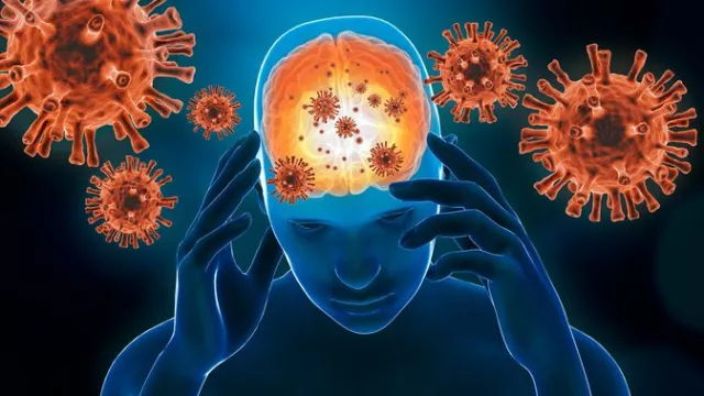 Cegah Meningitis, Dokter Sarankan Makanan Tinggi Omega 3 Berikut - GenPI.co Cegah Meningitis, Dokter Sarankan Makanan Tinggi Omega 3 Berikut - GenPI.co