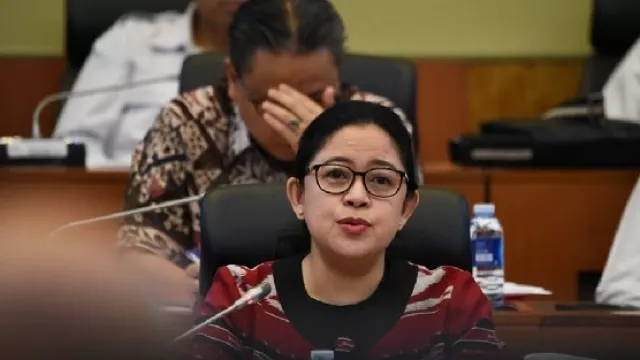 Top Banget! Puan Maharani Berani Menasihati Jokowi - GenPI.co