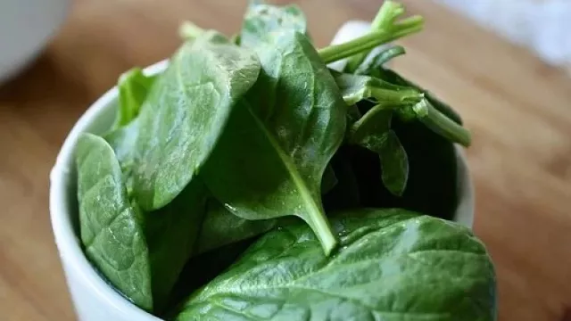 Awas! Bahaya Makan Sayur Bayam Ternyata Sangat Mengerikan - GenPI.co