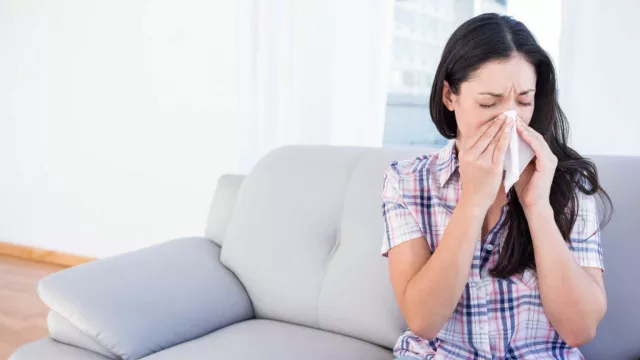 3 Penyebab Alergi yang Bersarang di dalam Rumah - GenPI.co