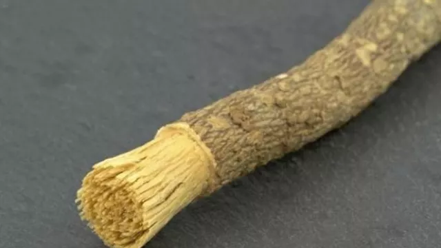 Manfaat Kayu Siwak Sangat Dahsyat, Pembersih Gigi Anjuran Nabi - GenPI.co Manfaat Kayu Siwak Sangat Dahsyat, Pembersih Gigi Anjuran Nabi - GenPI.co