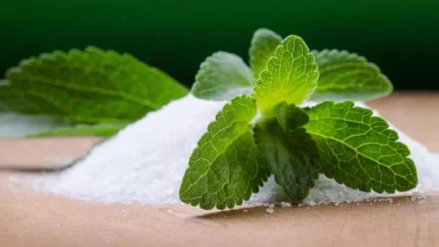 Stevia, Tanaman Pengganti Gula yang Ampuh untuk Diabetes - GenPI.co