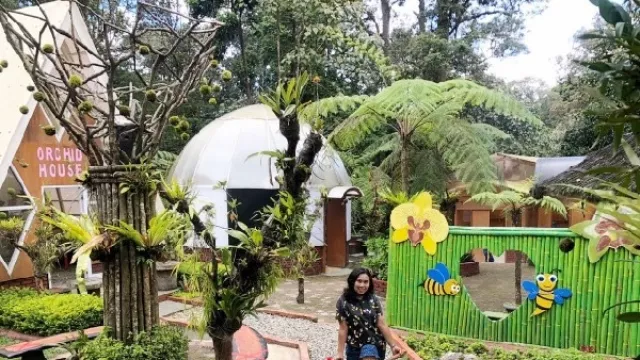 Pesona 4 Spot Instagramable di Taman Pendidikan Tangkuban Perahu - GenPI.co