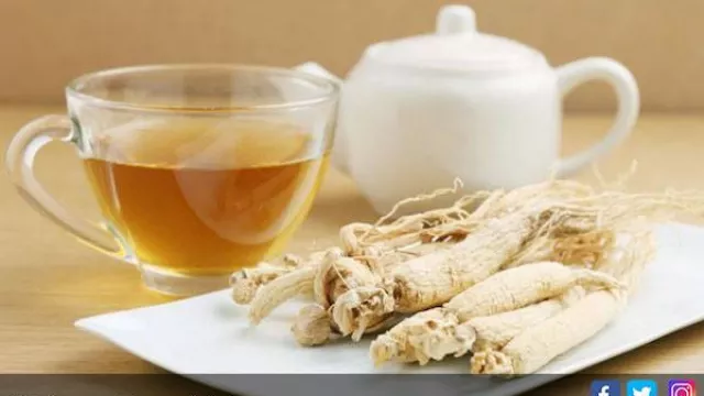 Teh Ginseng, Ampuh Atasi Hipertensi, Obesitas dan Penuaan Dini - GenPI.co