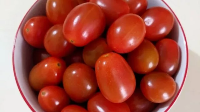 Tangkal Bahaya Penyakit Kanker dengan Rajin Makan Tomat Cherry - GenPI.co
