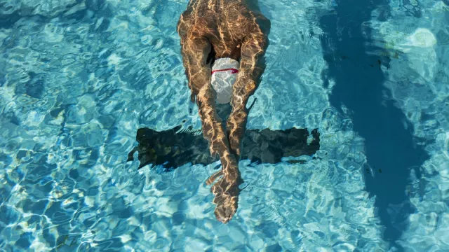 Pria Tersakti di Dunia, Berenang 5,35 Mil dengan Tangan Terborgol - GenPI.co