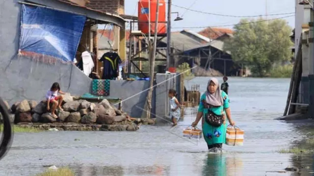 Atasi Banjir Rob, Pemkab Indramayu Inginkan Hal Ini - GenPI.co JABAR
