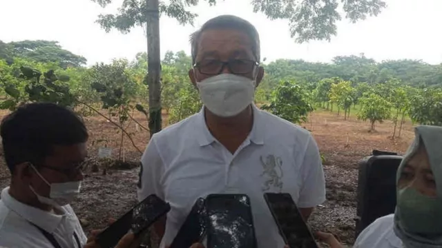 Kekurangan RTH, Pemkot Cirebon Tanam Pohon Mangrove - GenPI.co JABAR