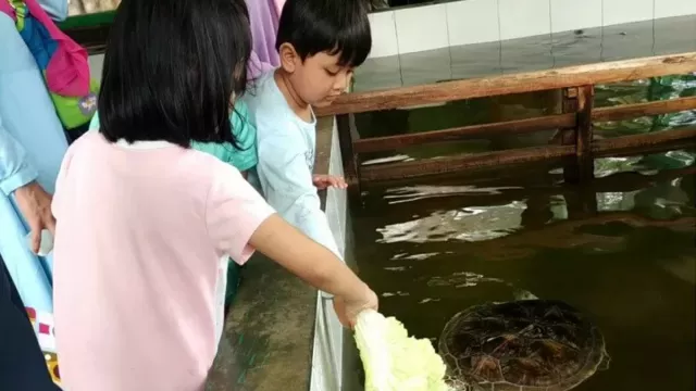 Pantai Pangumbahan Masih Alami, Penyunya Cantik Sekali - GenPI.co JABAR