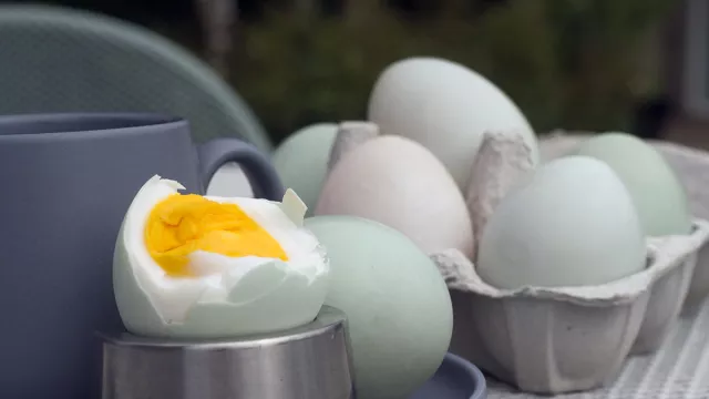 Tak Hanya Lezat, Ternyata Telur Asin juga Bagus untuk Kesehatan - GenPI.co JABAR