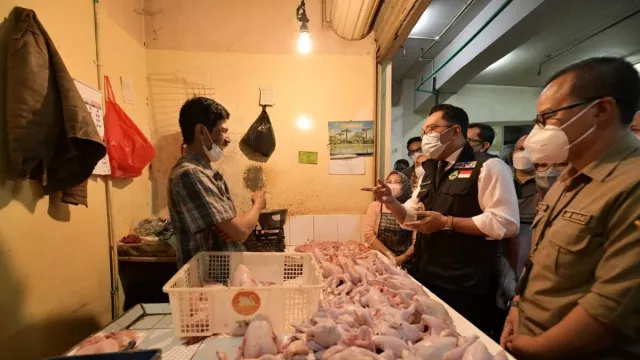 Kunjungi Pasar Baltos, Ridwan Kamil Sebut Ikan Mengalami Kenaikan - GenPI.co JABAR